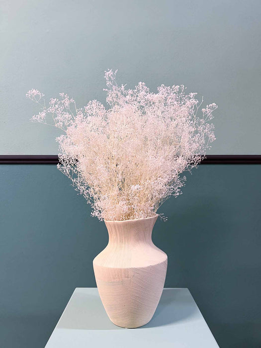 GYPSOPHILA » bianca mini stabilizzata - CHIARA