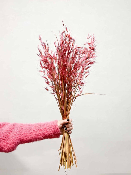 WILD OATS » dried pink - EVA