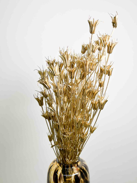 NIGELLA ORIENTALIS » dried gold - NATHAN