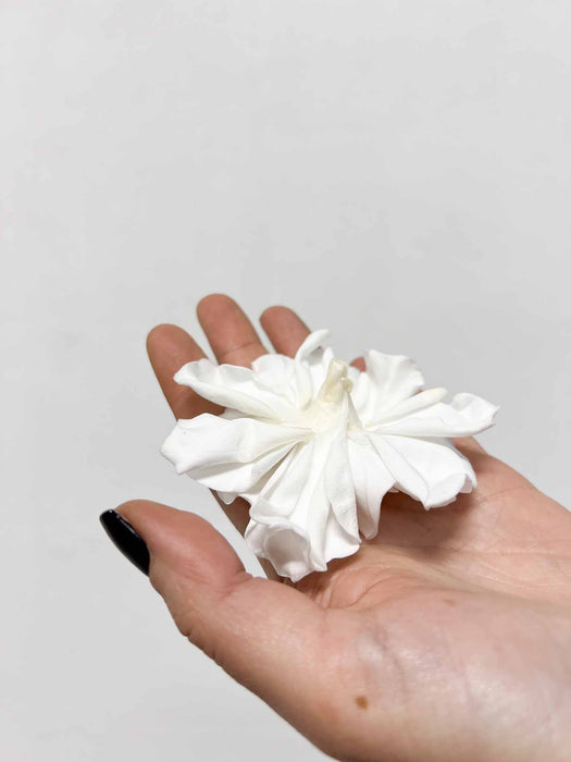 GARDENIA » white preserved