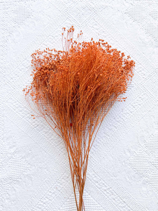 MIXED HERBS » orange dried - GLENDA