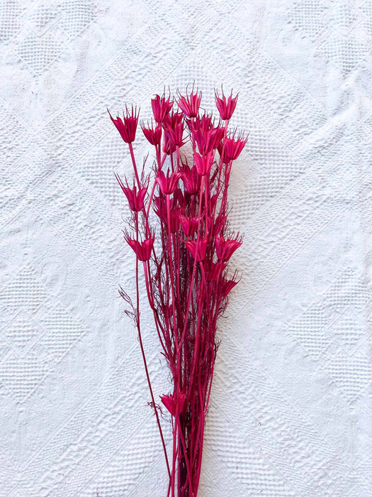 MIXED HERBS » fuchsia dried - EGLE