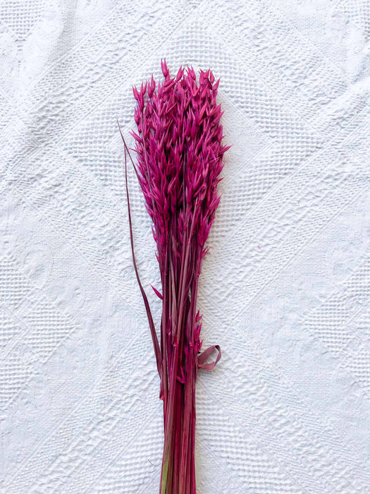 MIXED HERBS » fuchsia dried - EGLE