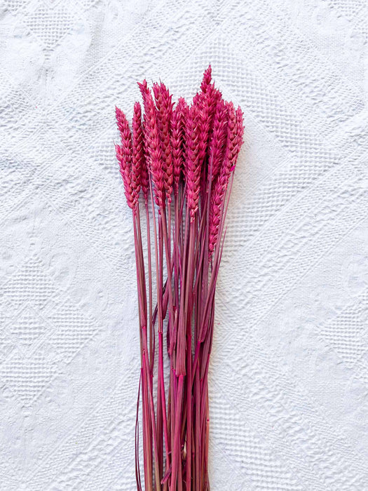 MIXED HERBS » fuchsia dried - EGLE