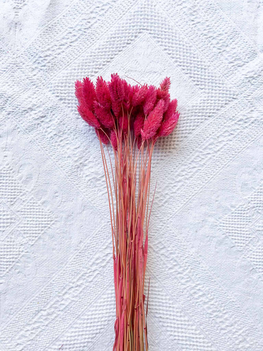 MIXED HERBS » fuchsia dried - EGLE