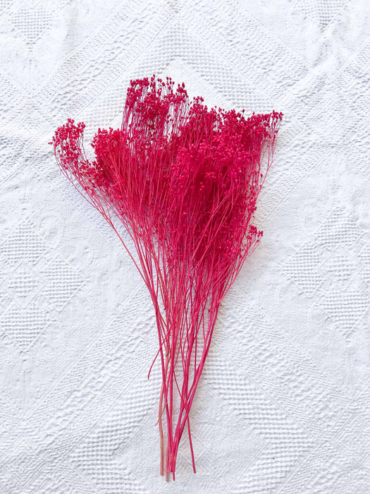 MIXED HERBS » fuchsia dried - EGLE