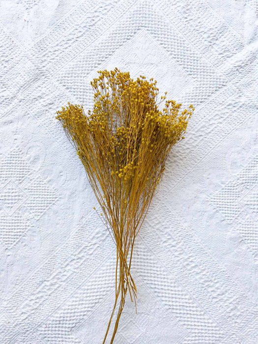 MIXED HERBS » mustard yellow dried - GERONIMO