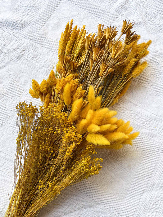 MIXED HERBS » mustard yellow dried - GERONIMO