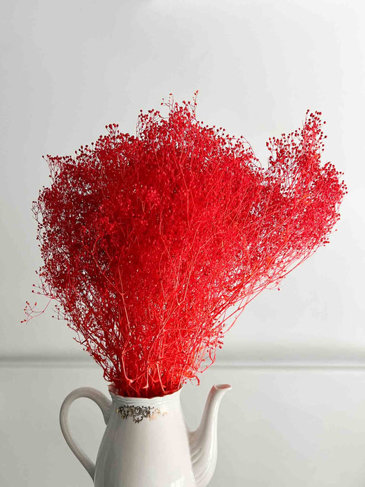 GYPSOPHILA » mini red preserved