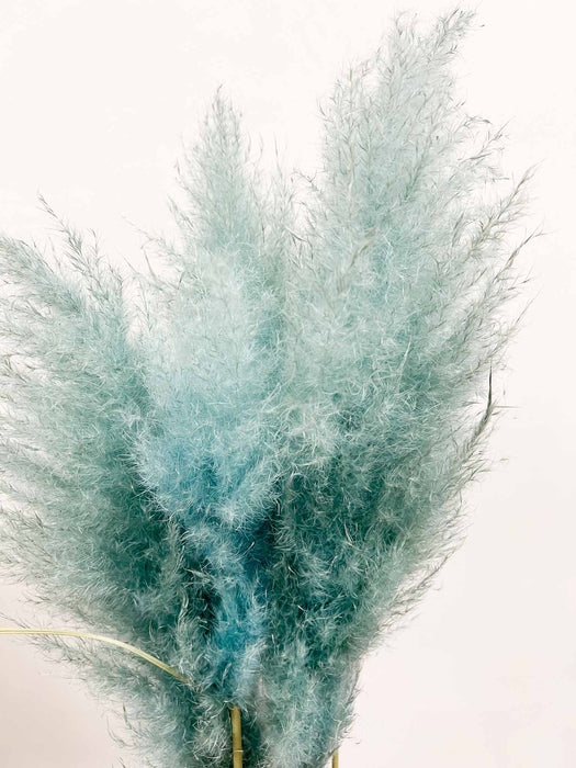 PAMPAS » light blue bouquet - MAURO