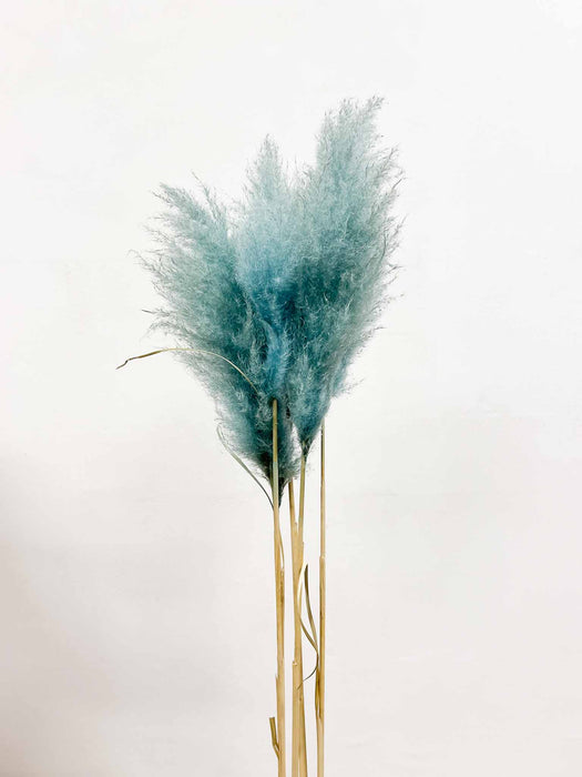 PAMPAS » light blue bouquet - MAURO