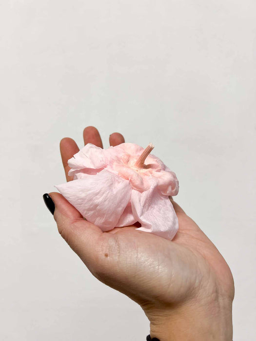 PEONY » pink preserved - MATILDE