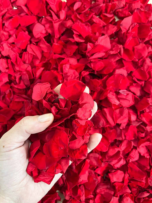 ROSE PETALS » box red - PENELOPE