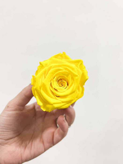 ROSE » BOX WITH 6 ROSE FLOWERS STANDARD DIAMETER 6.5 CM YELLOW - COCO