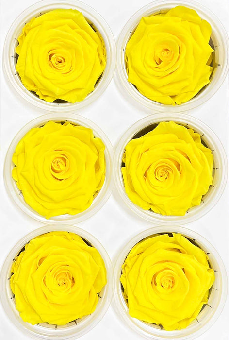 ROSE » BOX WITH 6 ROSE FLOWERS STANDARD DIAMETER 6.5 CM YELLOW - COCO