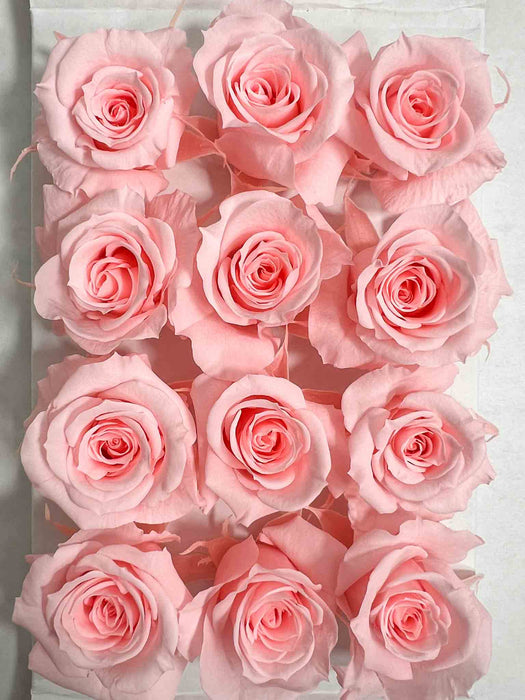 ROSE » BOX WITH 12 ROSE FLOWERS STANDARD DIAMETER 3 CM LIGHT PINK - CANDIDA