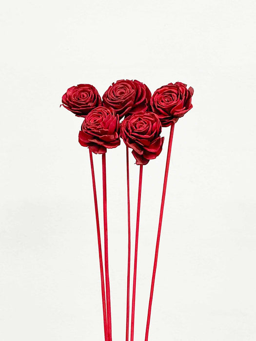 RECONSTRUCTED ROSES » bouquet of 5 small red stems - EUFEMIA