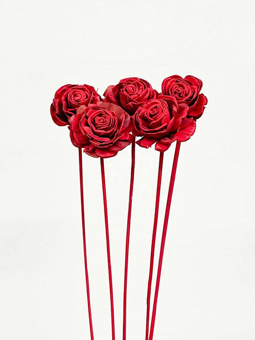 RECONSTRUCTED ROSES » bouquet of 5 big red stems - MARIACHIARA