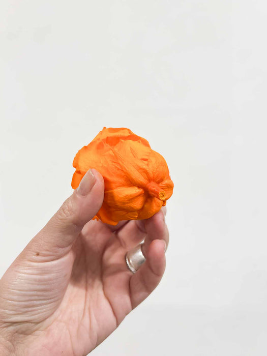 ROSE » BOX OF 6 STANDARD FLOWERS DIAMETER 6.5 CM ORANGE - SOLANGE