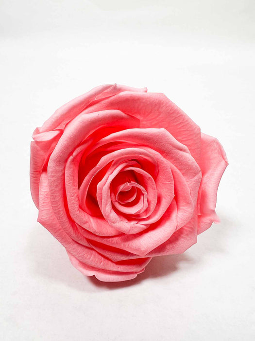 ROSE » BOX WITH 6 ROSE FLOWERS STANDARD DIAMETER 6.5 CM PINK - DONNA