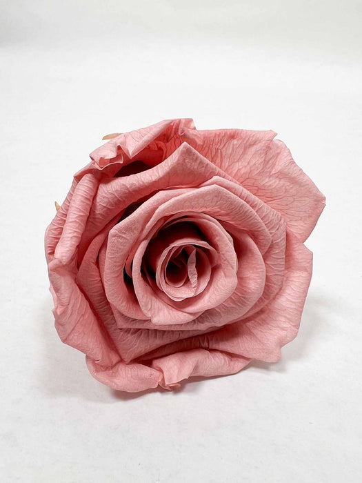 ROSE » BOX WITH 6 ROSE FLOWERS STANDARD DIAMETER 6.5 CM ANTIQUE PINK - DOLORES