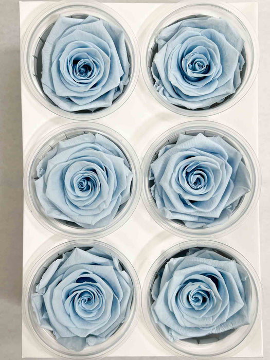 ROSE » BOX WITH 6 ROSE FLOWERS STANDARD DIAMETER 6.5 CM LIGHT BLUE - DODO