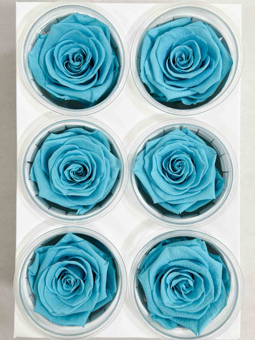 ROSA » BOX DA 6 FIORI STANDARD DIAMETRO 6,5CM AZZURRO - DOROTEA