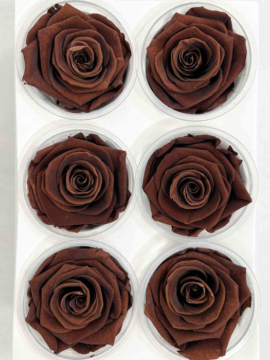 ROSE » BOX WITH 6 ROSE FLOWERS STANDARD DIAMETER 6.5 CM CHOCOLATE BROWN - DEAN