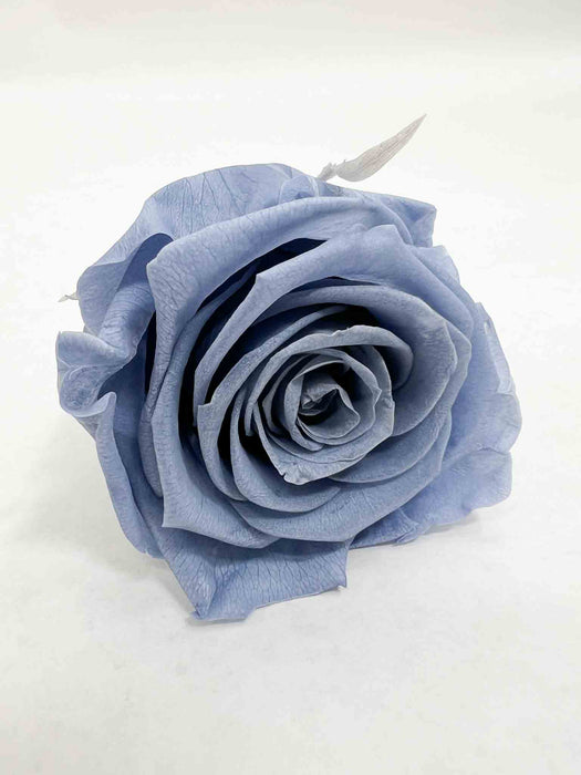 ROSE » BOX WITH 6 ROSE FLOWERS STANDARD DIAMETER 6.5 CM PAPER BLUE - MAFALDA