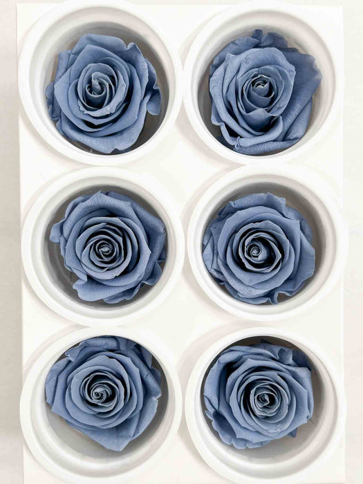 ROSE » BOX WITH 6 ROSE FLOWERS STANDARD DIAMETER 6.5 CM PAPER BLUE - MAFALDA