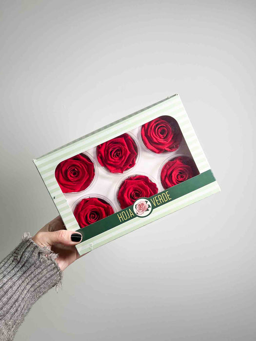 ROSE » BOX WITH 6 ROSE FLOWERS STANDARD DIAMETER 6.5 CM RED - ROMEO