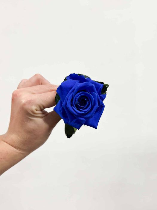 ROSA » blue with stem preserved 25cm standard