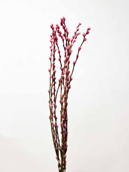 WILLOW » dried pink - LIDIANA