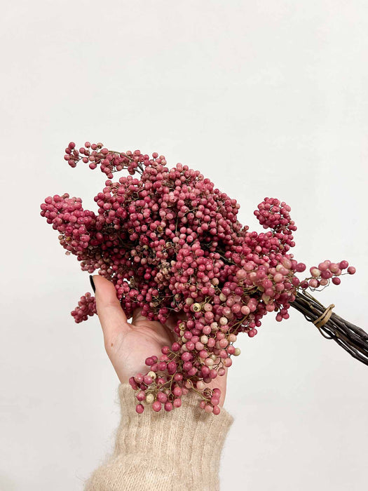 PEPPER » dried small pink - SANDRA