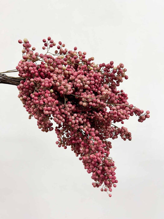 PEPPER » dried small pink - SANDRA