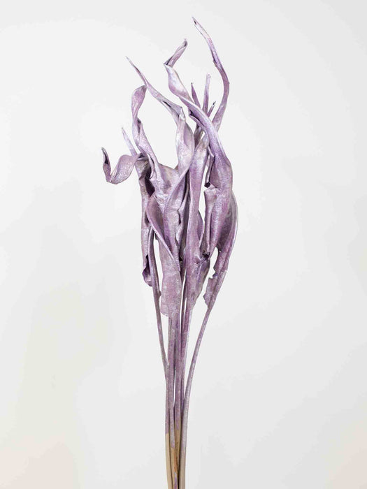 STRELITZIA » dried metallic lilac - TANIA