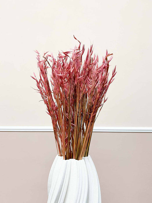 CULTIVATED OATS » antique pink - ALFIERO