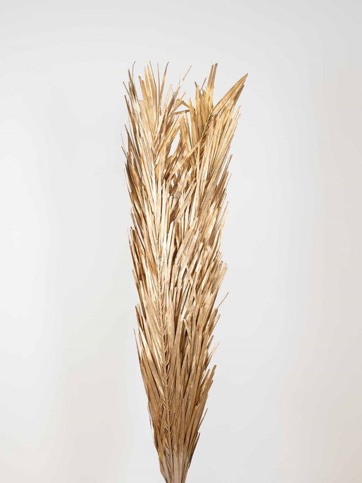 PALM LEAVES » Dried antique gold - ZAZA'