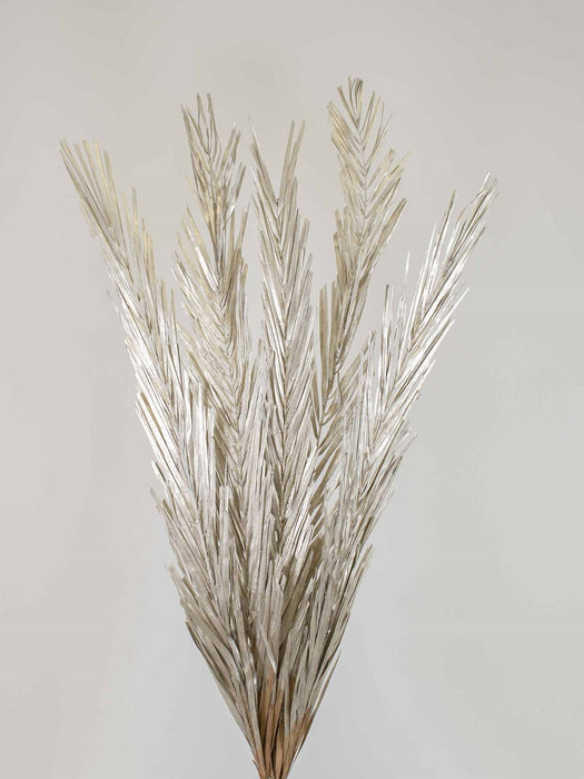 PALM LEAVES » Dried champagne - ZELINDA