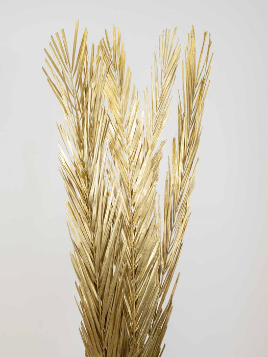 PALM LEAVES » Dried gold - ZURI