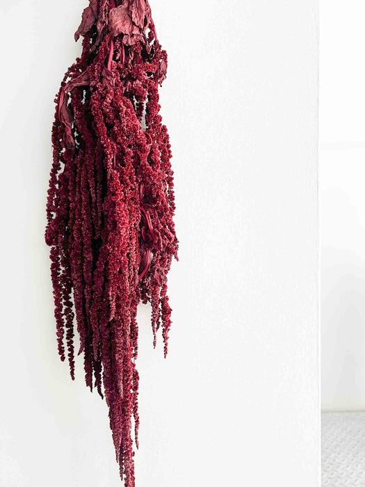 AMARANTHUS » bordeaux stabilizzato - RAMONA