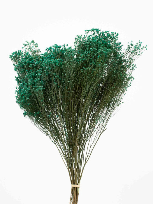 BROOM BLOOM » petrol green - ERMES