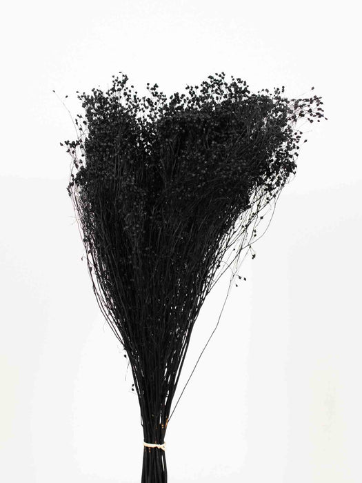 BROOM BLOOM » black - ARON