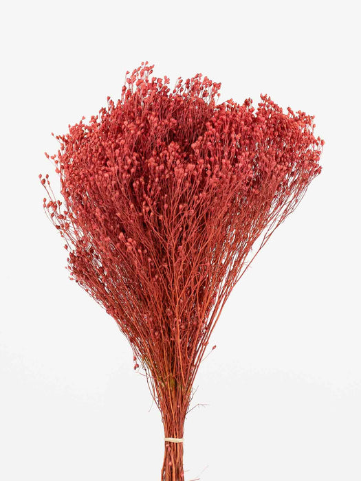 BROOM BLOOM » antique pink - GAIA