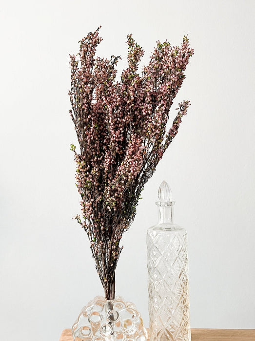 HEATHER » natural preserved