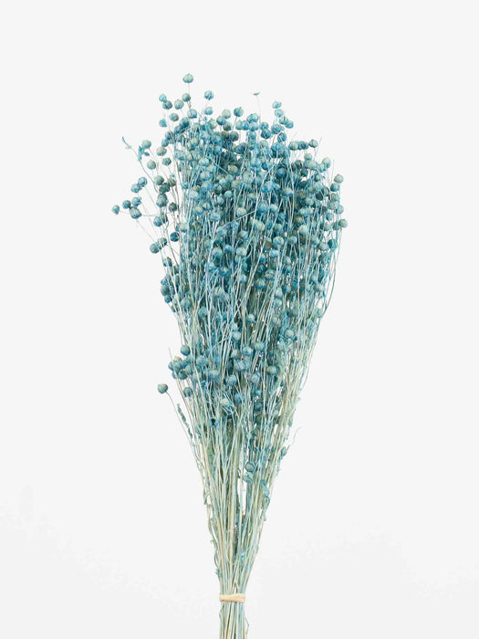 FLAX » light blue - NELLA