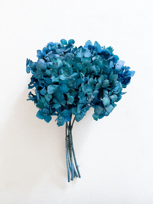 HYDRANGEA » blue preserved standard