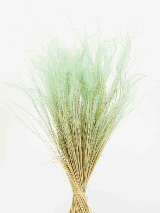 STIPA PENNATA » mint green - IVONNE