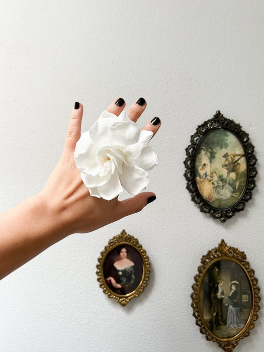 GARDENIA » white preserved