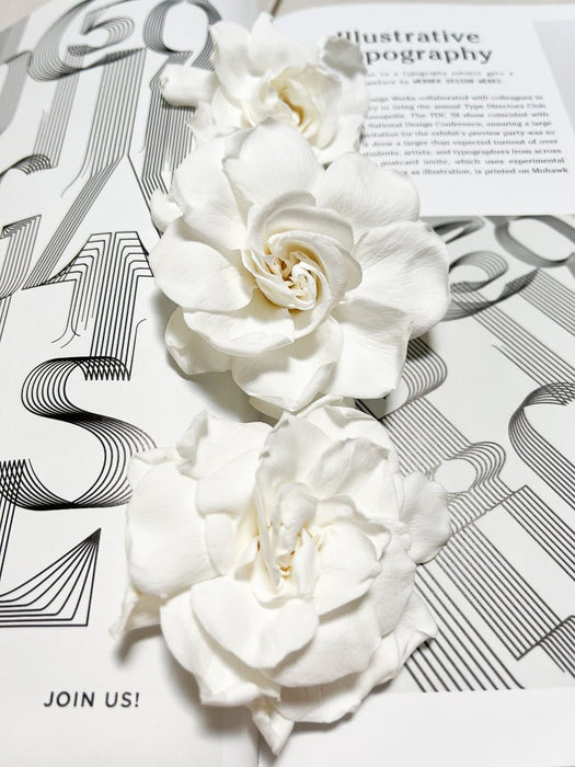 GARDENIA » white preserved